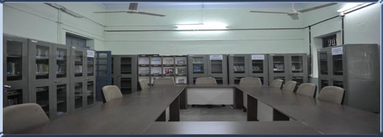 Main Feed Image